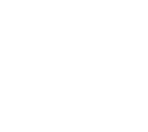 青田縣精鑄閥門(mén)有限公司 （官方網(wǎng)站）主要生產(chǎn)高鎳球墨鑄鐵、汽車(chē)配件D5S、D2螺母